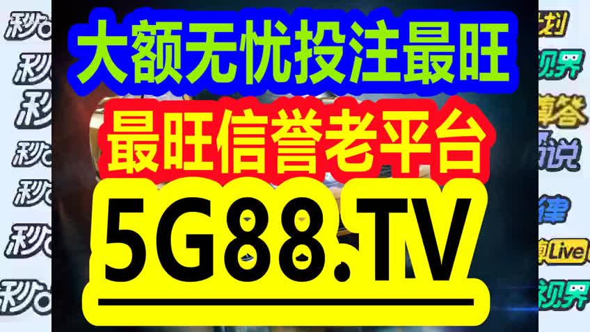 管家婆一码一肖与全面释义、解释与落实——